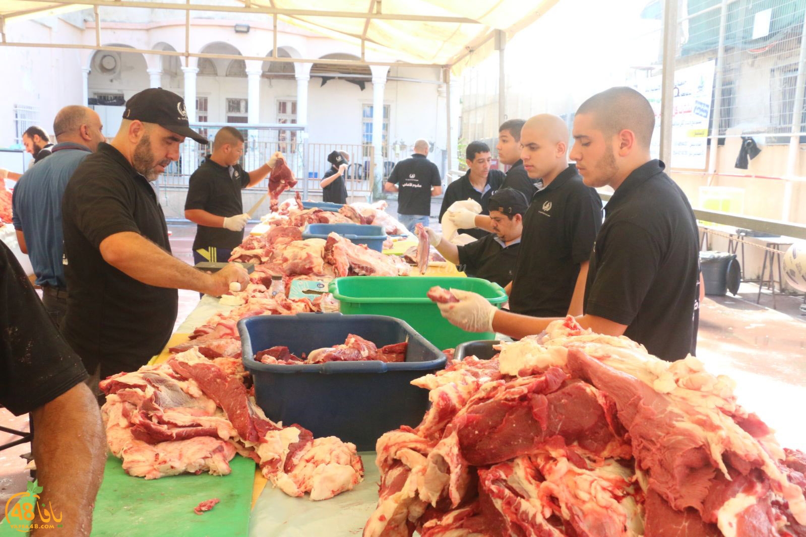 lo7om jam3iya u3 (18).jpg